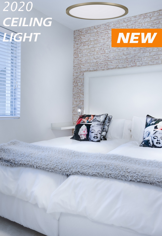 CEILING LIGHT width=